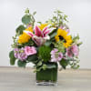 Bright mixed arrangement with sunflowers, pink lilies, and pastel blooms in a square glass vase