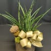 Clean design, modern look. Plants and containers vary. A type of autumn