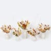 Enjoy this festive set of autumnal preserved blooms arranged in assorted Hari