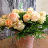 Apricot Roses and Lemon Verbena in clay pot
