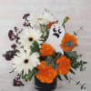 Boo! This Halloween arrangement includes gerbera daisies and marigolds. 