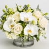 wispy white floral beautifully arranged in a cylinder vase   perfect