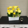 Dimensions:  10L x 3W x 12H  Beautiful Ranunculus with Orchids