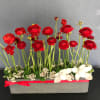 Red ranunculus arrangement in a gray rectangular planter with white orchids