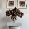 lente roses 
beauty is in every detail 
