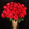We are pleased to highlight our exquisite collection of long-stemmed roses, expertly