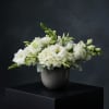 A timeless expression of beauty and calm,  Grace and Ivory features