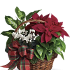 A beautiful holiday basket!
