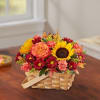 Inspired by the rustic beauty of the European countryside, our best-selling autumn