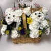Two carnation dogs in basket 