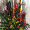 a mixture of tropical flowers