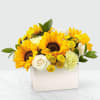 Sunflowers and white roses in a white wooden box
