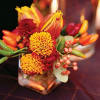 Vibrant orange and golds with pops of red