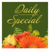 Orange and yellow flowers beneath "Daily Special" text on a green background