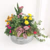 Bring the garden home with this updated take on a dish garden