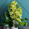 Green orchid arrangement in a white vase with succulent accents