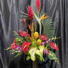Gingers, Anthuriums, Orchids, Proteas, and Tropic Fleur Heliconias which are swirled by