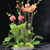 Tall orchid arrangement in a rectangular planter with bright green accents