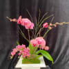 Pink orchids arranged in a white square planter
