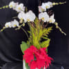 White orchids and red poinsettias in a white pot