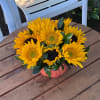 Sunflower bouquet in a pink vase on a wooden table