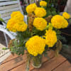 Yellow marigold bouquet in a clear glass vase on a wooden table