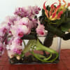 Exotic piece of art that will bright and make this flower arrangement