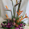 Tall tropical arrangement with orange bird-of-paradise and purple orchids in a black container