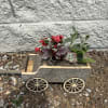 local handmade wooden wagon with green and/or blooming plants
