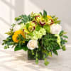 Mixed floral arrangement in a square glass vase with roses, orchids, and succulents
