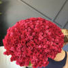 Large bouquet of red and pink roses held by a person