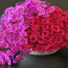 Pink orchids and red roses arranged in a low white bowl
