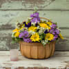 Basket of yellow and purple flowers with a small frosted glass candle