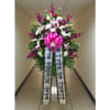 TTSPRAY16

    As Shown : TTSPRAY16
