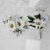 This White Daisy Corsage and Boutonniere Includes Babies Breath, Gentle Greenery with