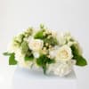 White rose and hydrangea arrangement with green accents in a low box