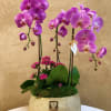 Purple orchids arranged in a woven planter with pink blooms
