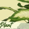 Close-up of a green-and-white plant leaf with partial text visible