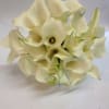 Bouquet of white calla lilies on a plain background
