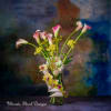 Where flowers bloom so does hope.&rdquo; &ndash; Lady Bird Johnson
Mini calla lily