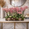 Pink orchid arrangement in a rectangular wooden planter