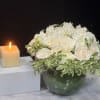 Brighten any space with the effortless charm of Ivory Garden Elegance. Featuring