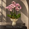 Pink orchid arrangement in a decorative face vase