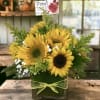 Sunflower arrangement in a square glass vase with a yellow ribbon