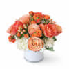 A lush cluster of orange and peach roses greets the eye-this flower
