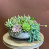 Succulent arrangement in a shallow gray bowl on a wooden table