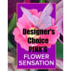 Pink flower graphic with a butterfly and text reading Designer's Choice