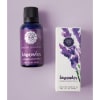 Lavender essential oil bottle with matching illustrated box on a light purple background