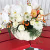 White orchid and rose arrangement in a white pumpkin container