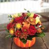 -Bi-color daisies 
-6 red roses
-2 orange lilies
-Autumn leaves
-Ceramic pumpkin container